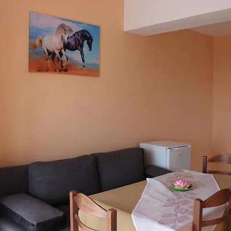 Apartament Tourist Attic Obzor